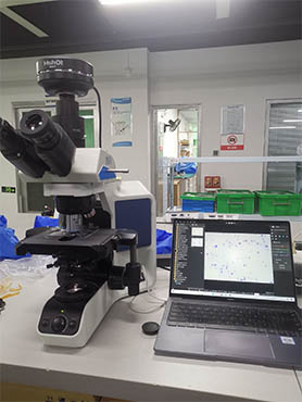 生物显微镜ML51-N.jpg 生物显微镜ML51-N.jpg