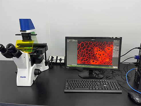 倒置荧光显微镜.jpg 倒置荧光显微镜.jpg