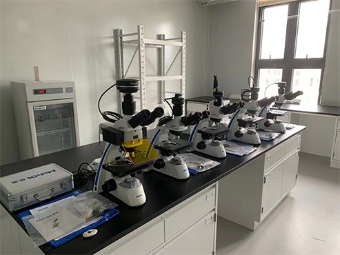 显微镜MF31-M.jpg 显微镜MF31-M.jpg