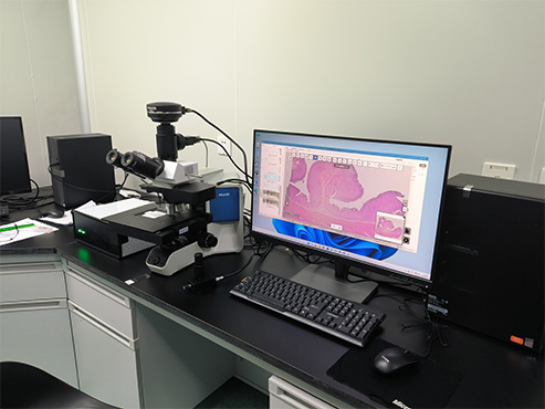 数字切片扫描仪1.jpg 数字切片扫描仪1.jpg