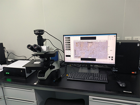 数字切片扫描仪2.jpg 数字切片扫描仪2.jpg