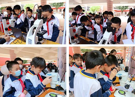 体视显微镜MZ62.jpg 体视显微镜MZ62.jpg