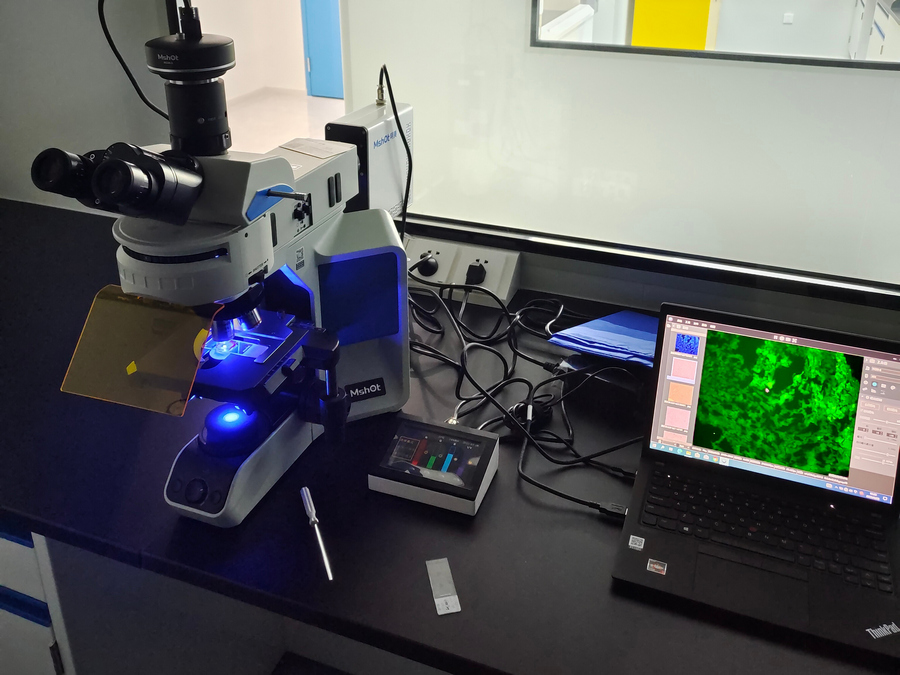 BG_Fluo_02.png BG_Fluo_02.png