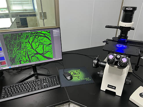 倒置荧光显微镜MF53-N.jpg 倒置荧光显微镜MF53-N.jpg