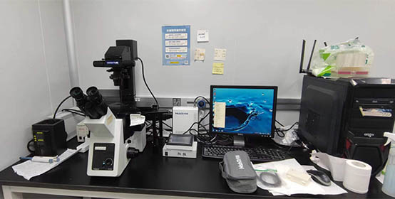 四通道荧光光源MG-120.jpg 四通道荧光光源MG-120.jpg