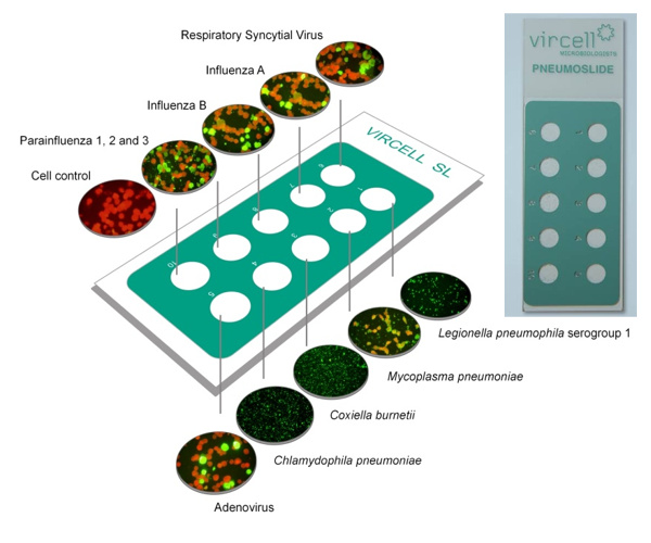 huxidao_01.jpg huxidao_01.jpg