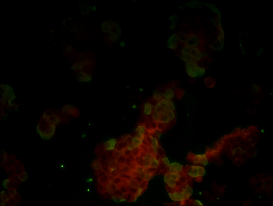 huxidao_06.jpg huxidao_06.jpg