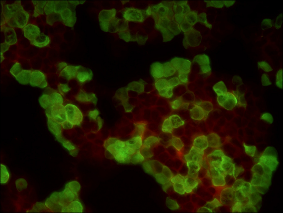 huxidao_07.jpg huxidao_07.jpg