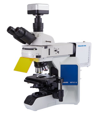 显微镜下的耳蜗_3.jpg 显微镜下的耳蜗_3.jpg