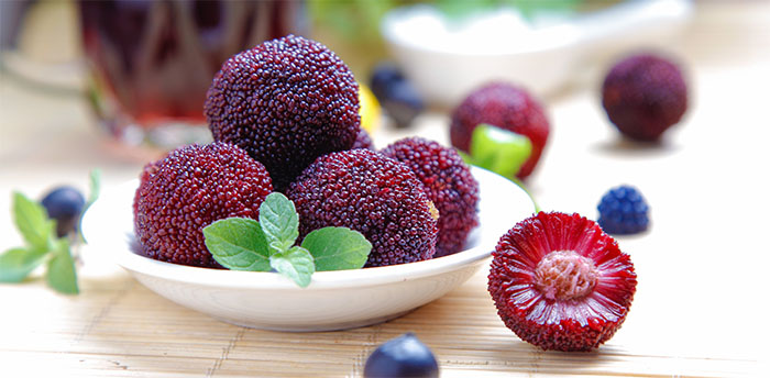 杨梅.jpg 杨梅.jpg