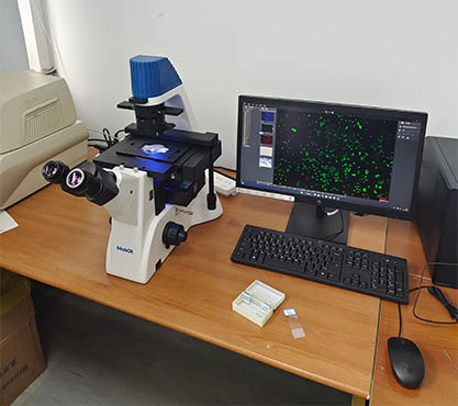 细胞治疗.jpg 细胞治疗.jpg