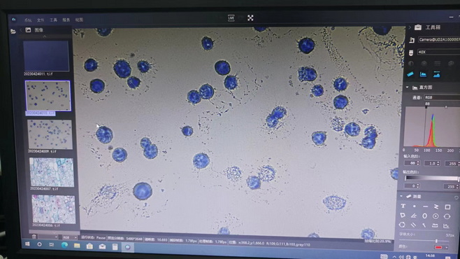 荧光显微镜MF43-M.jpg 荧光显微镜MF43-M.jpg