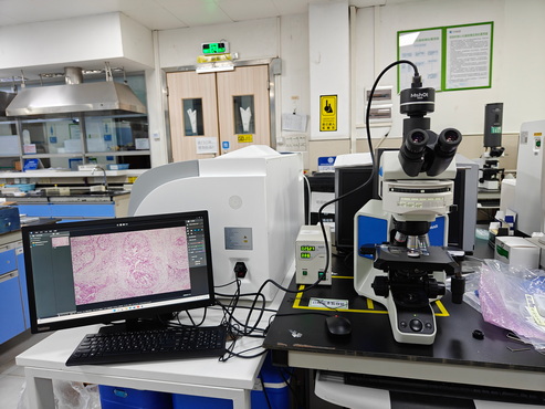 荧光显微镜MF43-M_6.jpg 荧光显微镜MF43-M_6.jpg