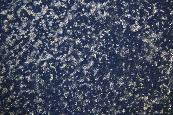 金相显微镜MJ31_3.jpg 金相显微镜MJ31_3.jpg