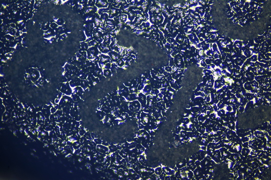 金相显微镜MJ31_4.jpg 金相显微镜MJ31_4.jpg