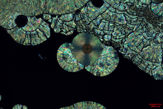 偏光显微镜.jpg 偏光显微镜.jpg