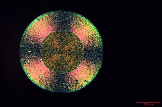 偏光显微镜_3.jpg 偏光显微镜_3.jpg