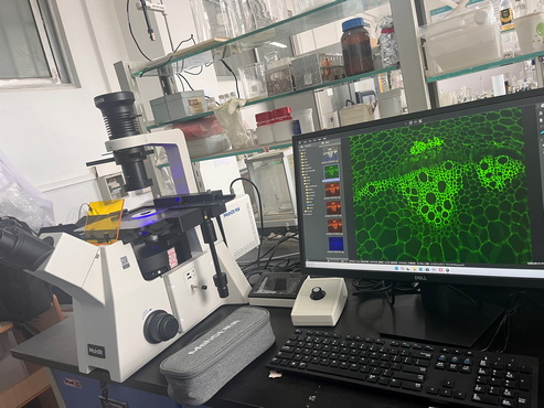倒置荧光显微镜-荧光细胞成像_3.jpg 倒置荧光显微镜-荧光细胞成像_3.jpg