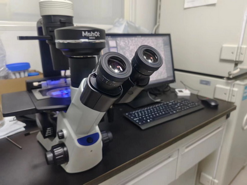 荧光模块_2.jpg 荧光模块_2.jpg