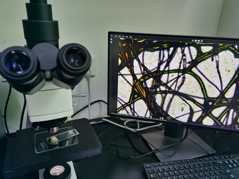 金相显微镜MJ31看口罩纤维_2.jpg 金相显微镜MJ31看口罩纤维_2.jpg