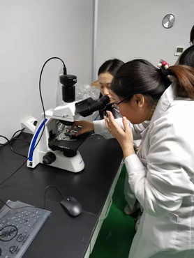 生物偏光显微镜ML31-P.jpg 生物偏光显微镜ML31-P.jpg