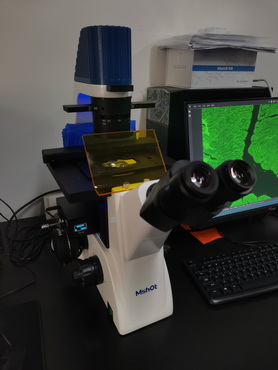 荧光生物显微镜MF52-M.jpg 荧光生物显微镜MF52-M.jpg