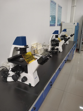 荧光生物显微镜MF52-M_4.jpg 荧光生物显微镜MF52-M_4.jpg