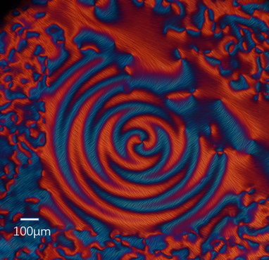 显微摄影.jpg 显微摄影.jpg