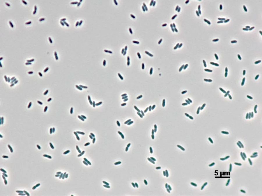 4e27d1a8-ee13-41da-9a71-3d5737b37aa1.jpg 4e27d1a8-ee13-41da-9a71-3d5737b37aa1.jpg