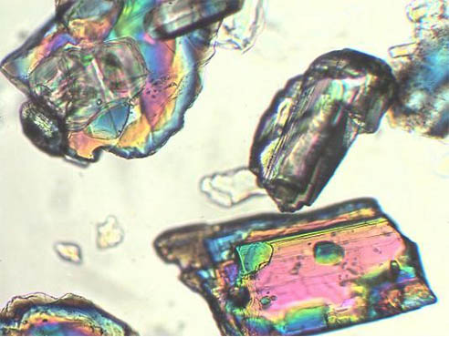 金相显微镜8.jpg 金相显微镜8.jpg