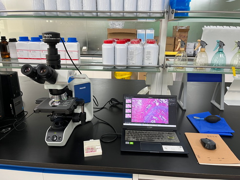 汤臣倍健-生物显微镜ML51-N_2.jpg 汤臣倍健-生物显微镜ML51-N_2.jpg