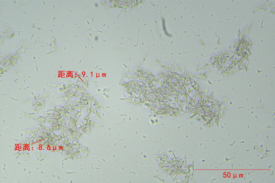生物显微镜ML31_2.jpg 生物显微镜ML31_2.jpg