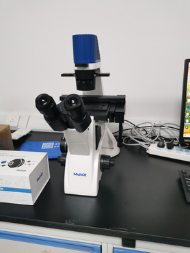 安徽医科大学-倒置显微镜_3.jpg 安徽医科大学-倒置显微镜_3.jpg