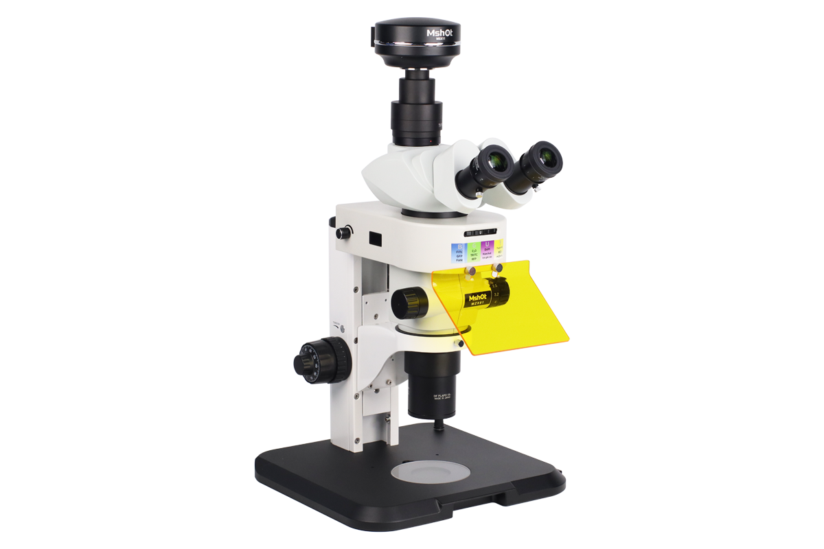 09_沥青.png 09_沥青.png