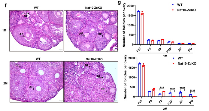 中国科学技术大学论文.jpg 中国科学技术大学论文.jpg