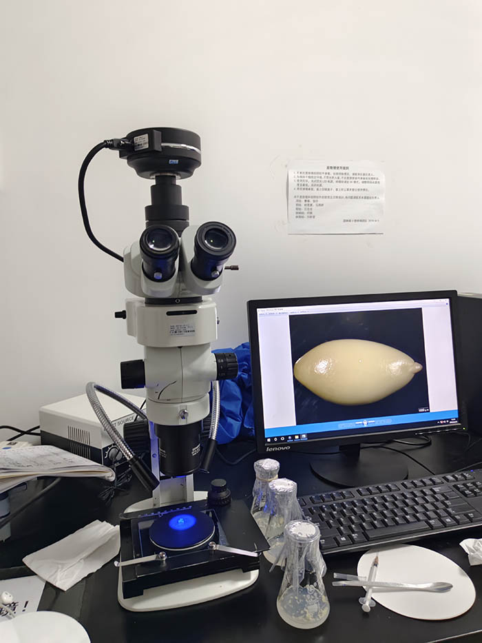 MZX81+MSX2-1.jpg MZX81+MSX2-1.jpg