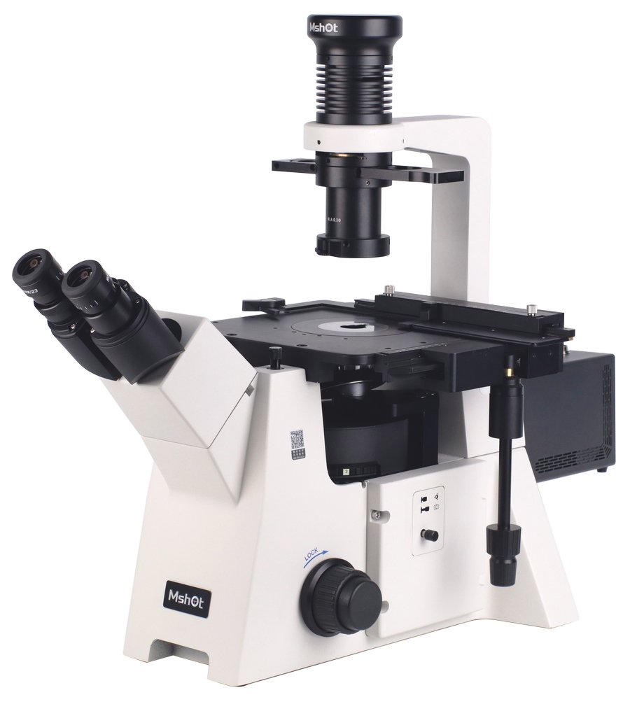 05PCFP_IMG_1647c.jpg 05PCFP_IMG_1647c.jpg