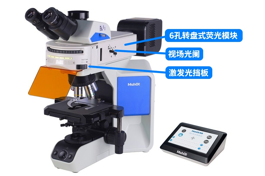 微信图片_20230731101244.jpg 微信图片_20230731101244.jpg