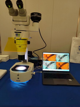 全国文检会现场.jpg 全国文检会现场.jpg