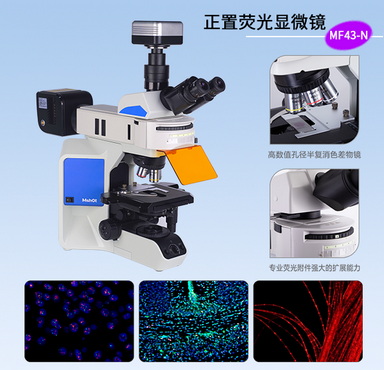 天津肿瘤会议_2(1).jpg 天津肿瘤会议_2(1).jpg