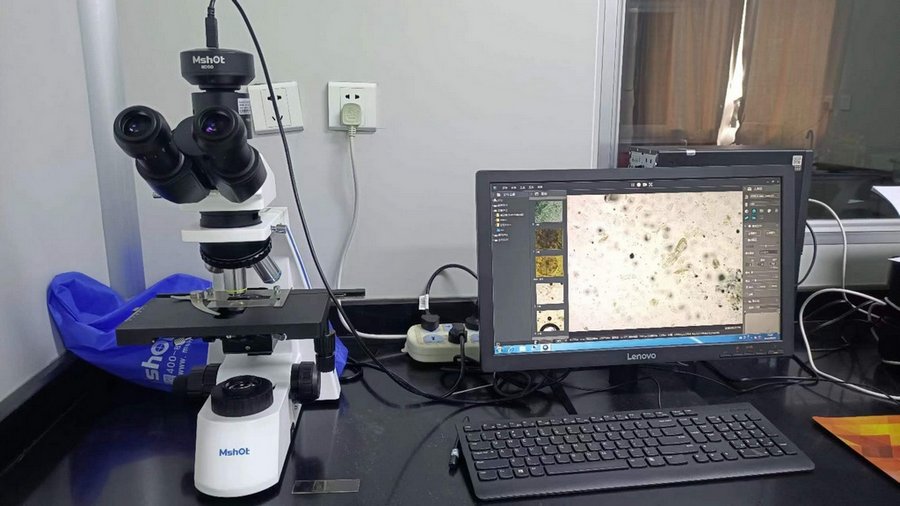 02TCM_ML31-P+MD50中药粉,淀粉.jpg 02TCM_ML31-P+MD50中药粉,淀粉.jpg