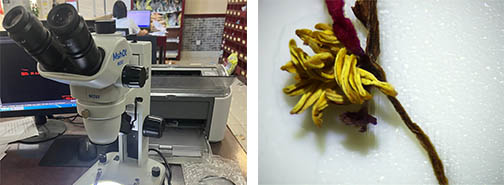 中药材.jpg 中药材.jpg