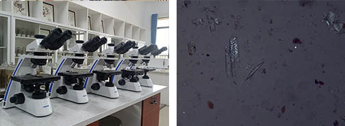 中药材1.jpg 中药材1.jpg