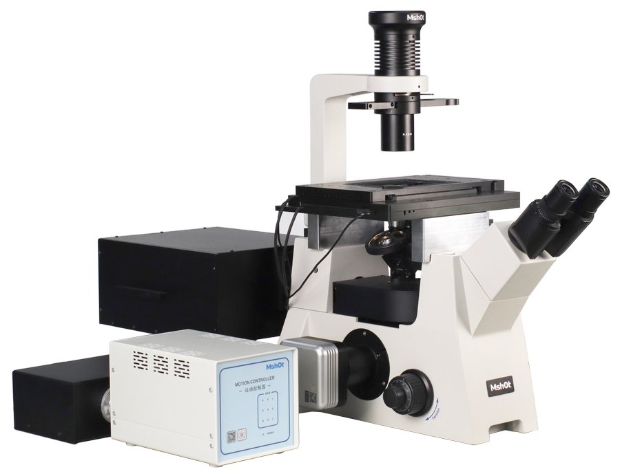 01TIRF_IMG_1667 拷贝1.jpg 01TIRF_IMG_1667 拷贝1.jpg