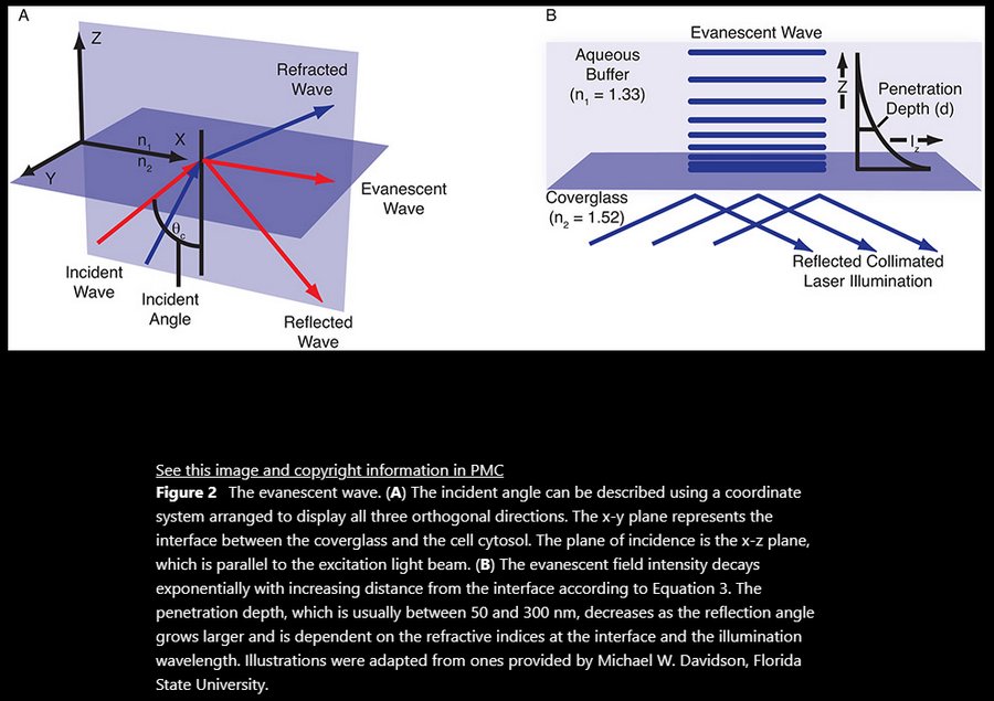 02TIRF_TIRF2.jpg 02TIRF_TIRF2.jpg