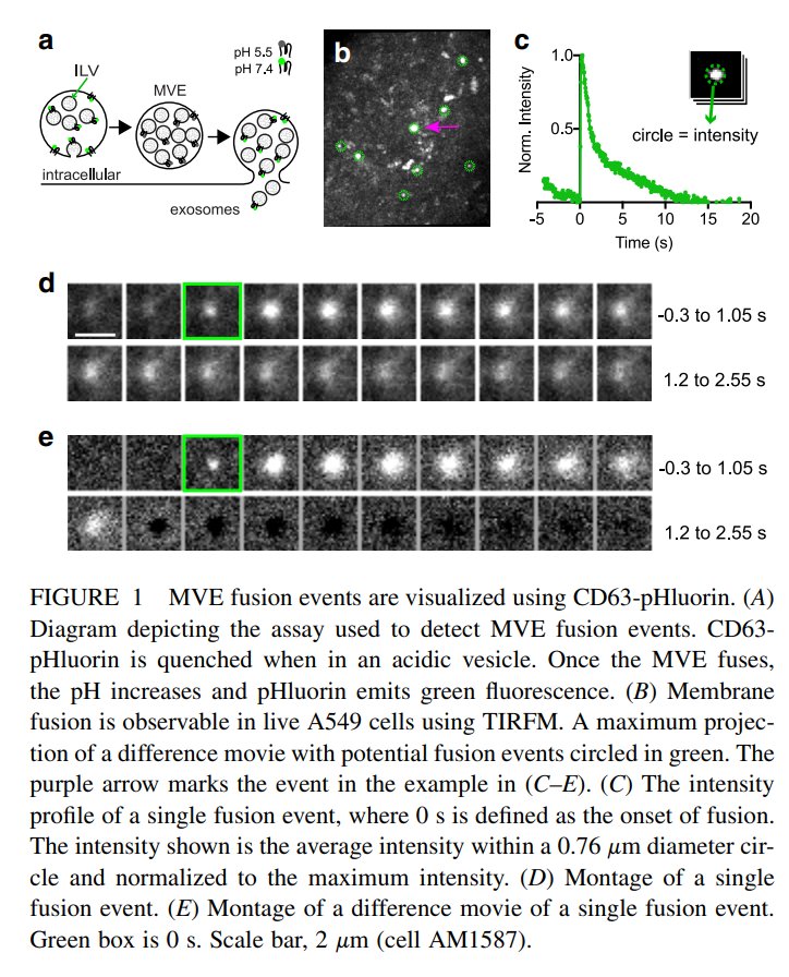 04TIRF_未命名1692174008.jpg 04TIRF_未命名1692174008.jpg