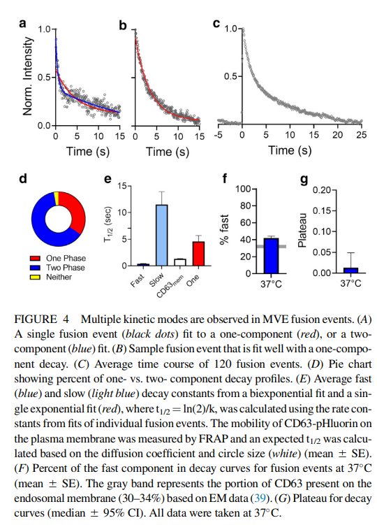 07TIRF_04.jpg 07TIRF_04.jpg
