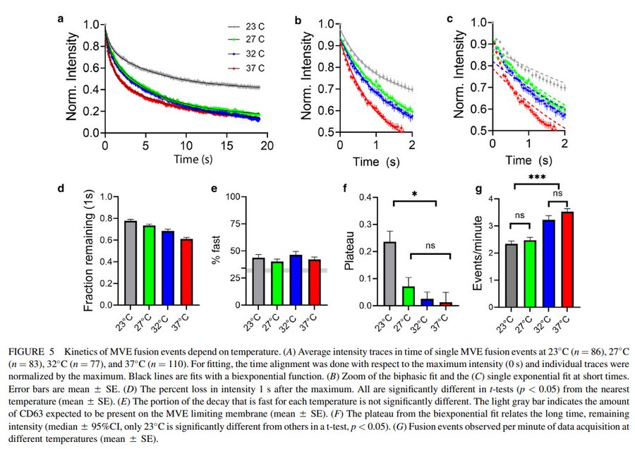 08TIRF_05.jpg 08TIRF_05.jpg
