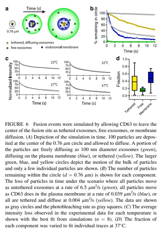 09TIRF_06.jpg 09TIRF_06.jpg