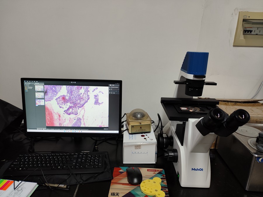 中南大学湘雅医学院公共卫生学院MI52-N+MDX10-1.jpg 中南大学湘雅医学院公共卫生学院MI52-N+MDX10-1.jpg